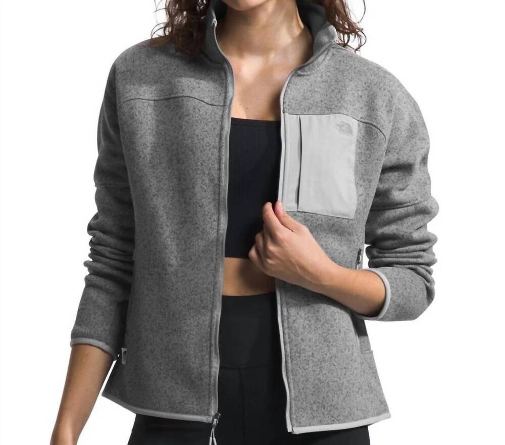 NEW THE NORTH FACE front range fleece jacket in gray